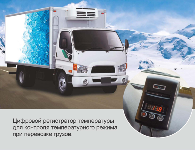 Температурный регистратор H-Thermo